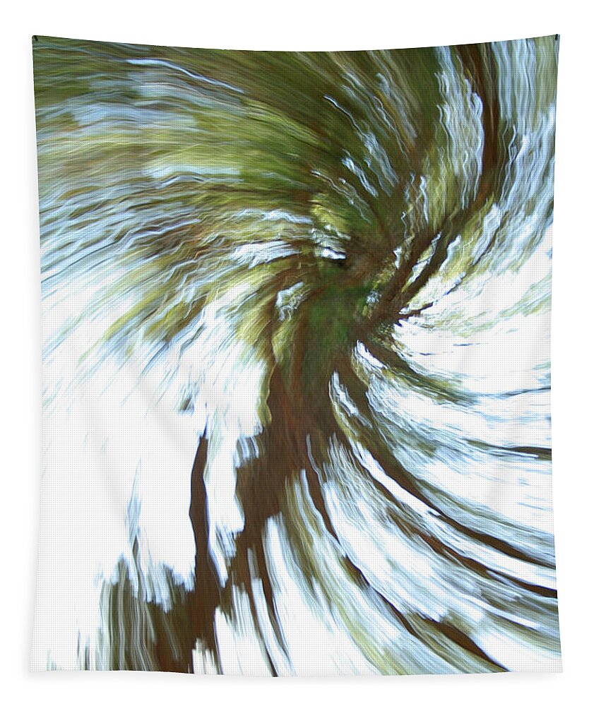 Abstract Tapestry featuring the photograph Tree Diptych 1 by Ric Bascobert