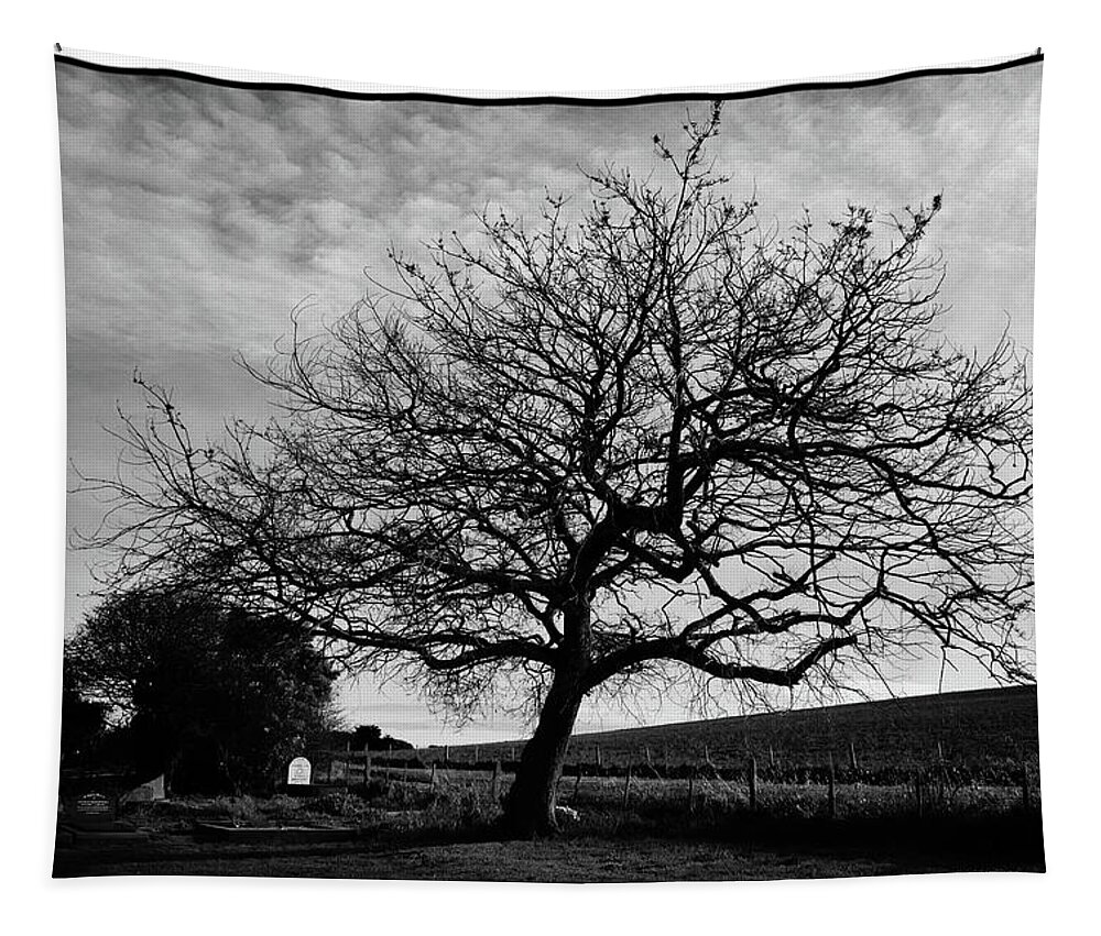 Landscape Tapestry featuring the photograph Tree in a country cemetery in winter by Frank Lee