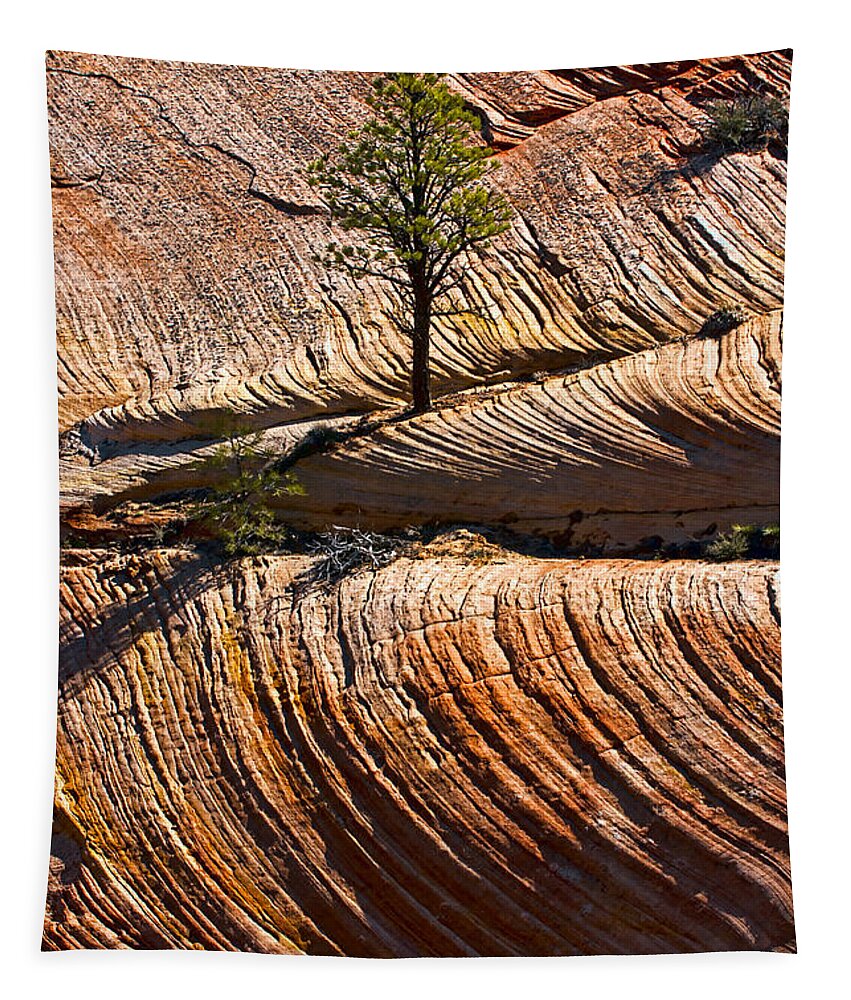 Zion Tapestry featuring the photograph Tree In Flowing Rock by Christopher Holmes