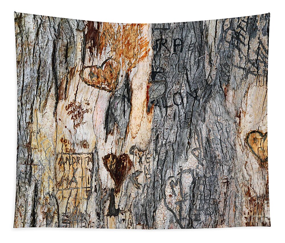 Valentines Day Tapestry featuring the photograph Tree of Love 3 by James Brunker