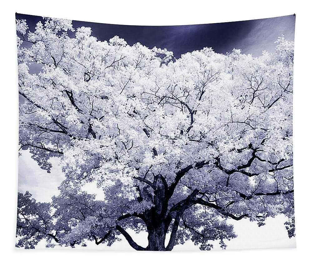 Tree Tapestry featuring the photograph Tree by Paul W Faust - Impressions of Light