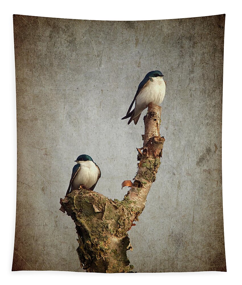 Birds Tapestry featuring the photograph Tree Swallows by Al Mueller