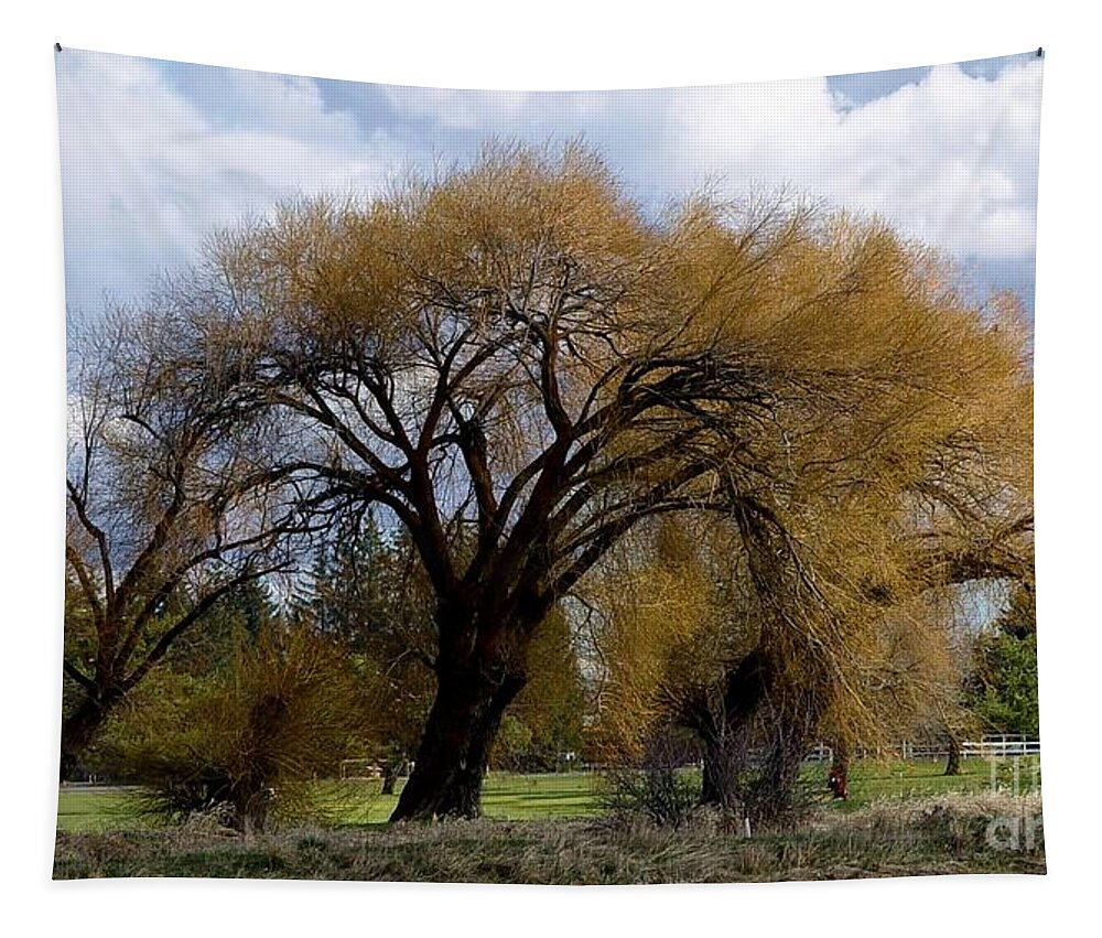 Oak Tree Tapestry featuring the photograph Trees by Ronald Bissett