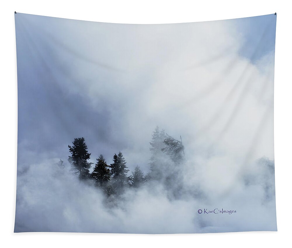 Firehole River Tapestry featuring the photograph Trees through Firehole River Mist by Kae Cheatham