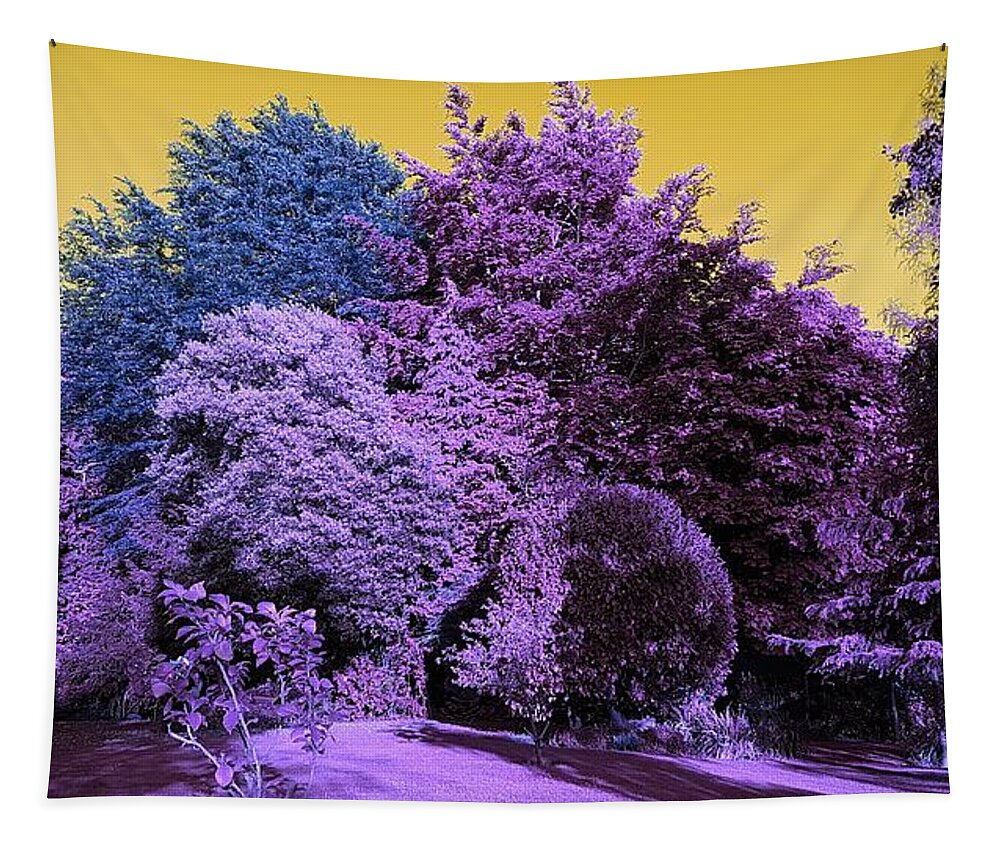 Tree Tapestry featuring the photograph Treescape In Violet Mix by Rowena Tutty