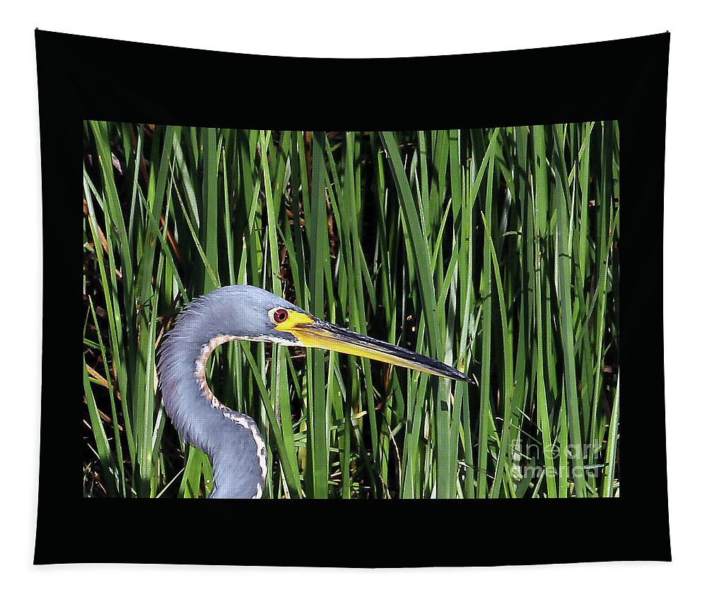 Tri-colored Heron In Reeds Tapestry featuring the photograph Tri-colored Heron in Reeds by Jennifer Robin