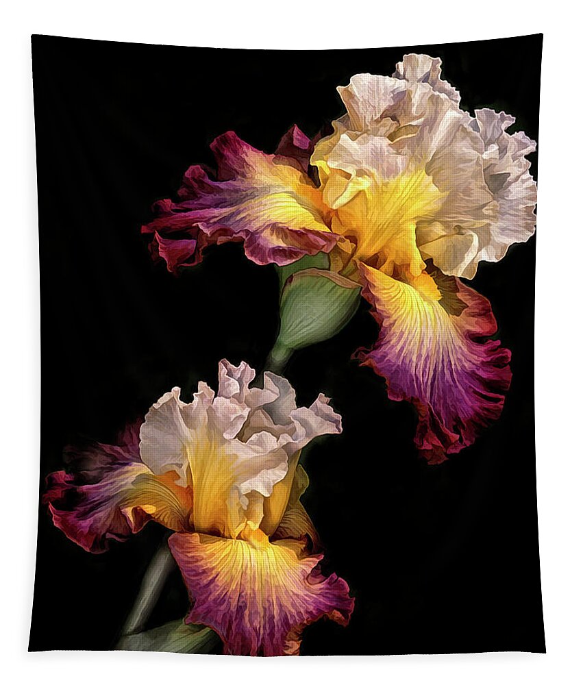 Iris Tapestry featuring the photograph Tricolor Iris Pair by Dave Mills