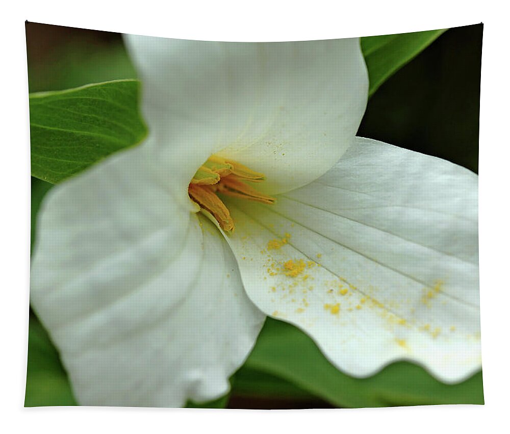 White Trillium Tapestry featuring the photograph Trillium by Debbie Oppermann