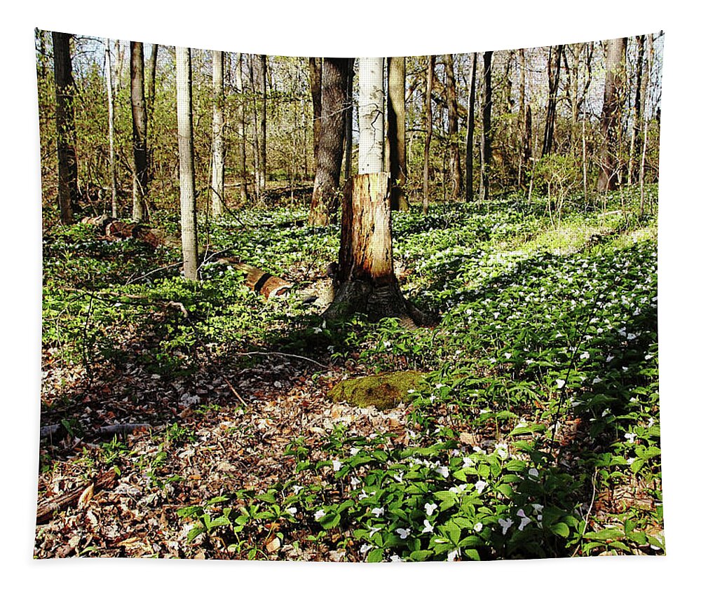 Trilliums Tapestry featuring the photograph Trilliums Galore by Debbie Oppermann