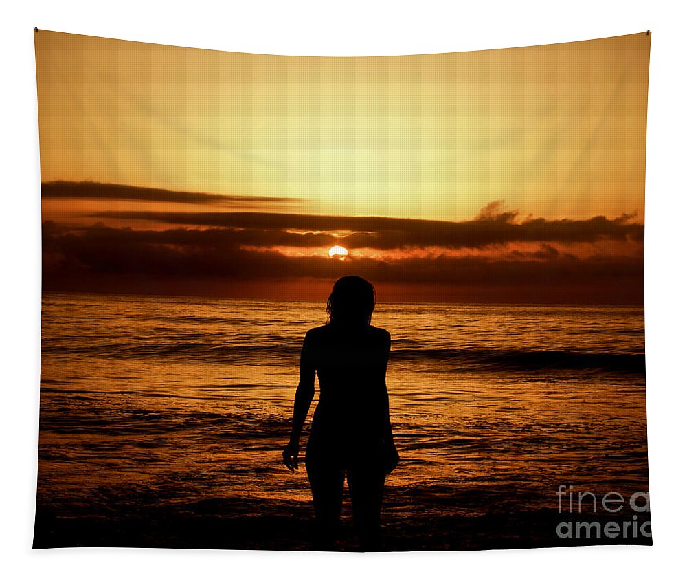 Silhouette Tapestry featuring the photograph Triste by Rachel Morrison