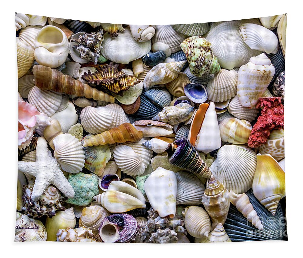 1500a Tapestry featuring the photograph Tropical Beach Seashell Treasures 1500A by Ricardos Creations