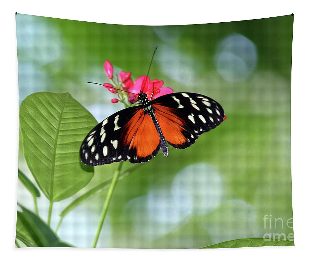 Tropical Tapestry featuring the photograph Tropical Hecale Butterfly by Karen Adams