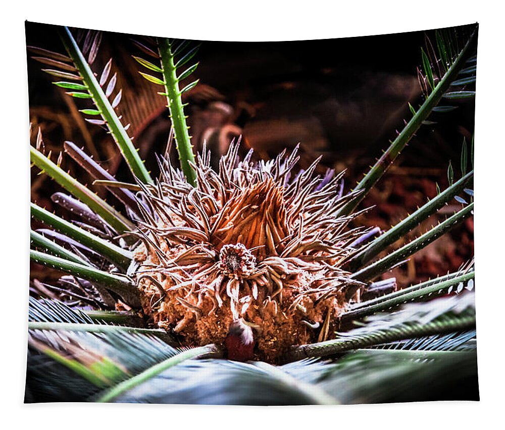 Tropical Palms Tapestry featuring the photograph Tropical Moments by Karen Wiles