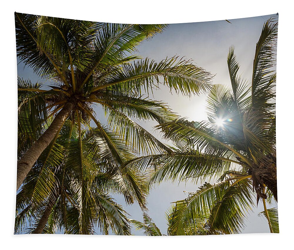 Coconut Tapestry featuring the photograph Tropical Sun by James BO Insogna