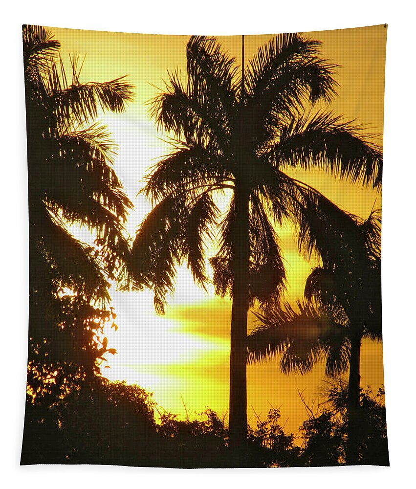 Tropical Tapestry featuring the photograph Tropical Sunset Palm by David Bader