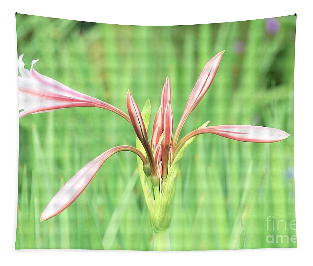 Flowers Tapestry featuring the photograph Trumpet by Merle Grenz