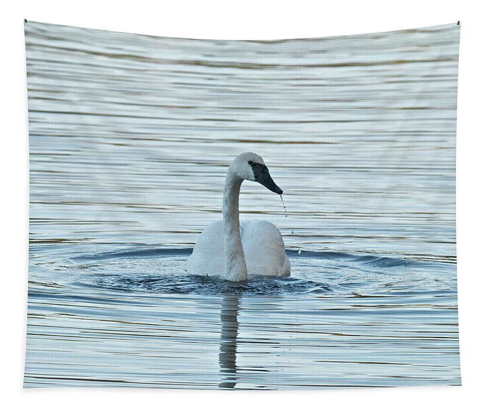 Swan Tapestry featuring the photograph Trumpeter Swan 9673 by Michael Peychich