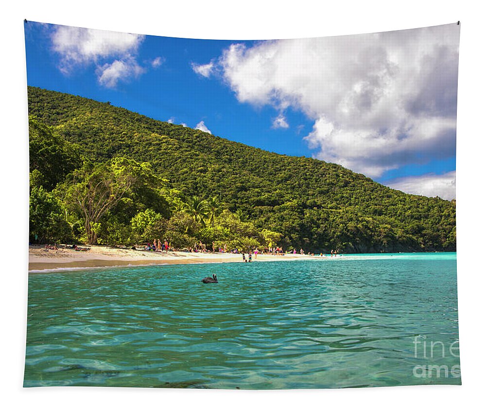 Kasia Tapestry featuring the photograph Trunk Bay by Kasia Bitner