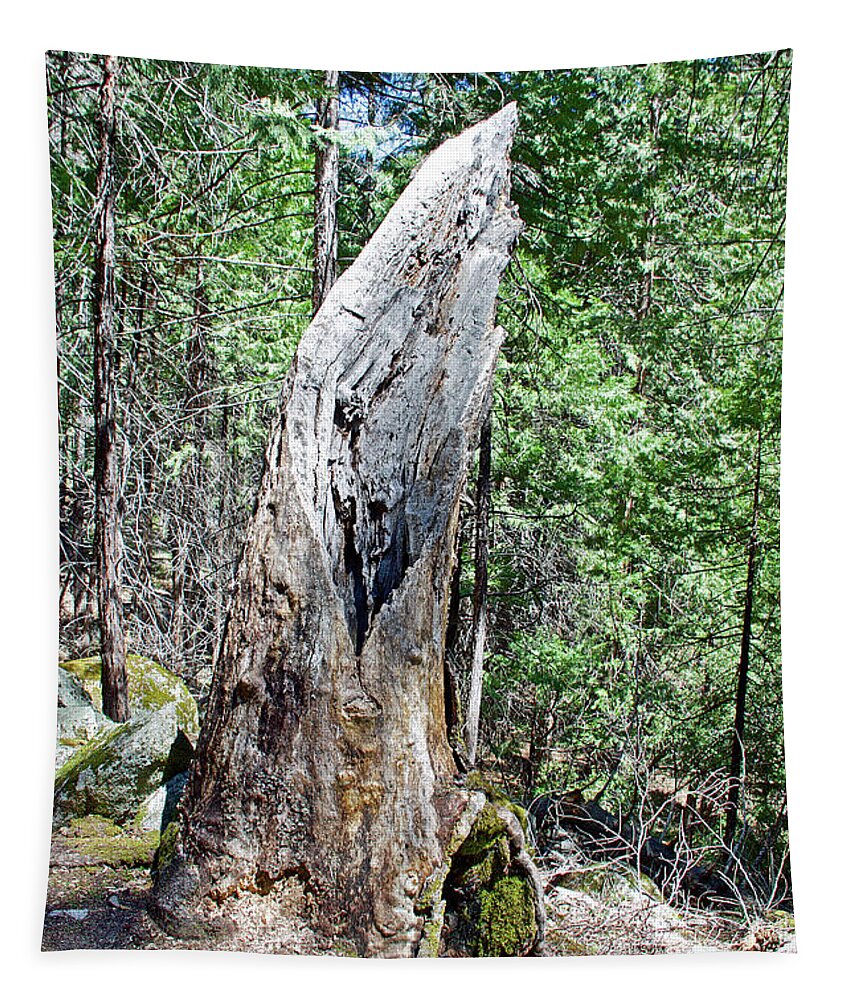 Trunk Skeleton On Mirror Lake Trail In Yosemite National Park Tapestry featuring the photograph Trunk Skeleton on Mirror Lake Trail in Yosemite National Park, California by Ruth Hager