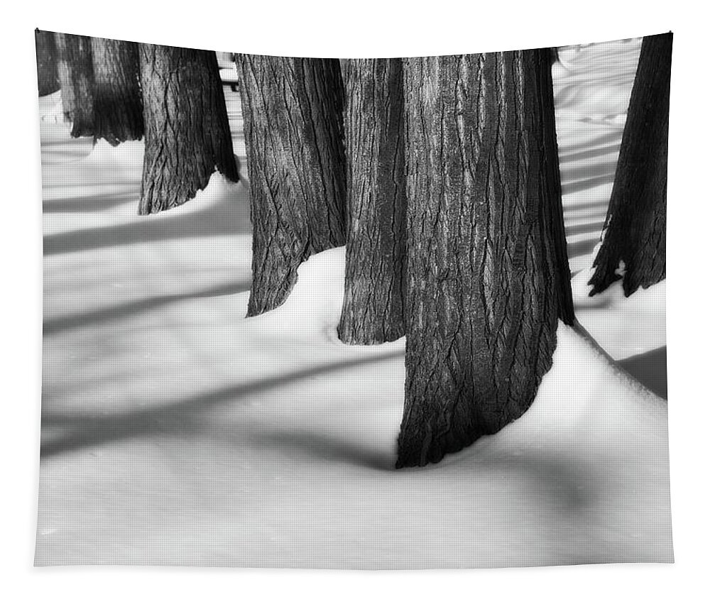 Black And White Photography Tapestry featuring the photograph Trunks Frosting and Shadows by Allan Van Gasbeck