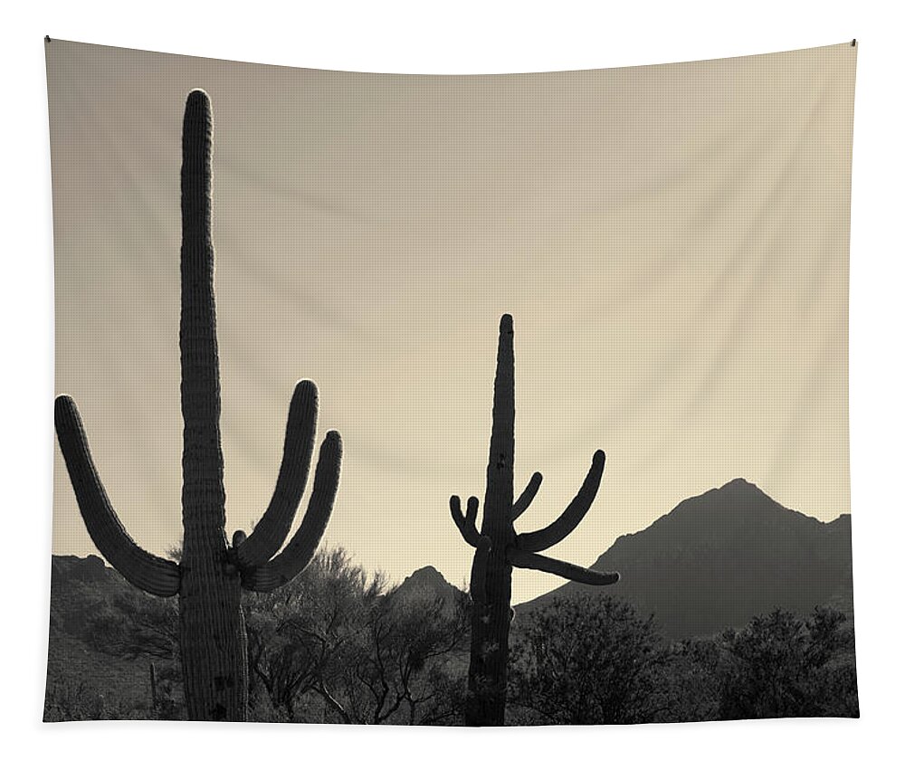 Landscape Tapestry featuring the photograph Tucson IV Toned by David Gordon