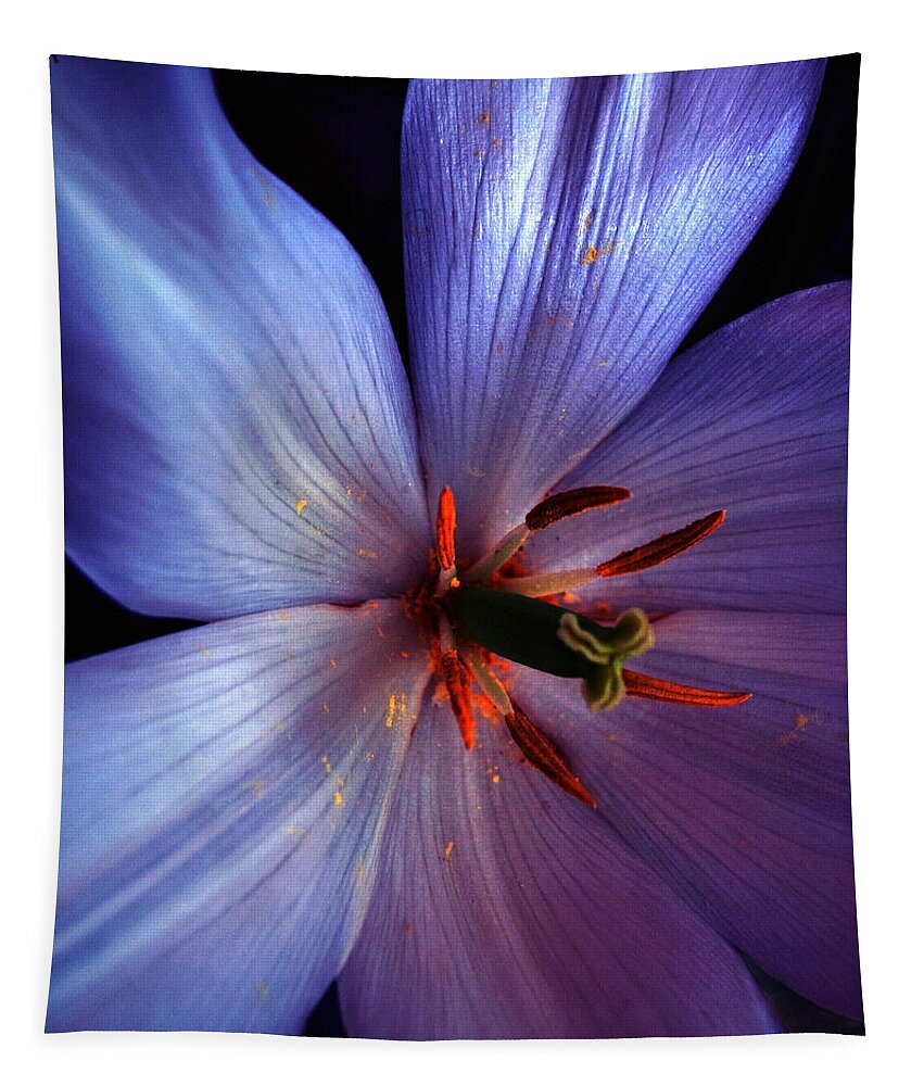 Tulip Tapestry featuring the photograph Tulip Convert by Gwyn Newcombe