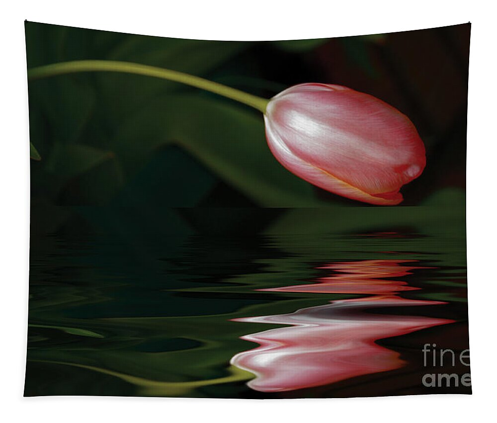 Tulip Tapestry featuring the photograph Tulip Reflections by Elaine Teague