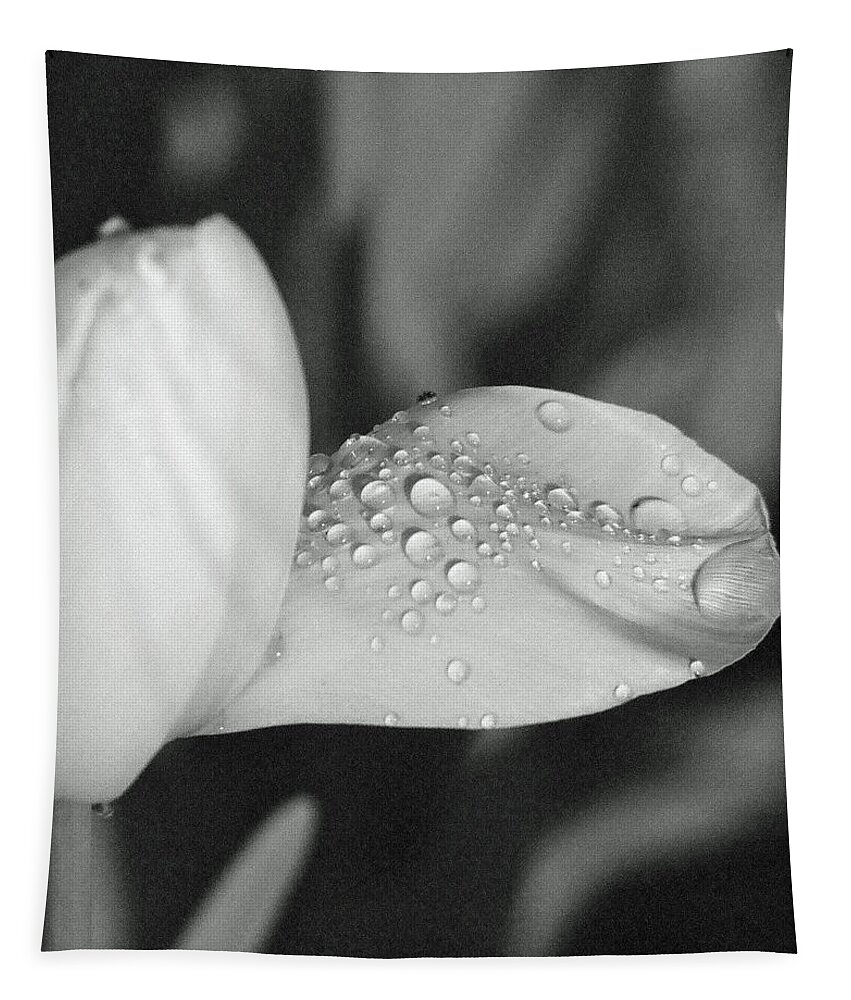 Tulip Tapestry featuring the photograph Tulips - Beauty In Bloom - BW Infrared SFX 17 by Pamela Critchlow