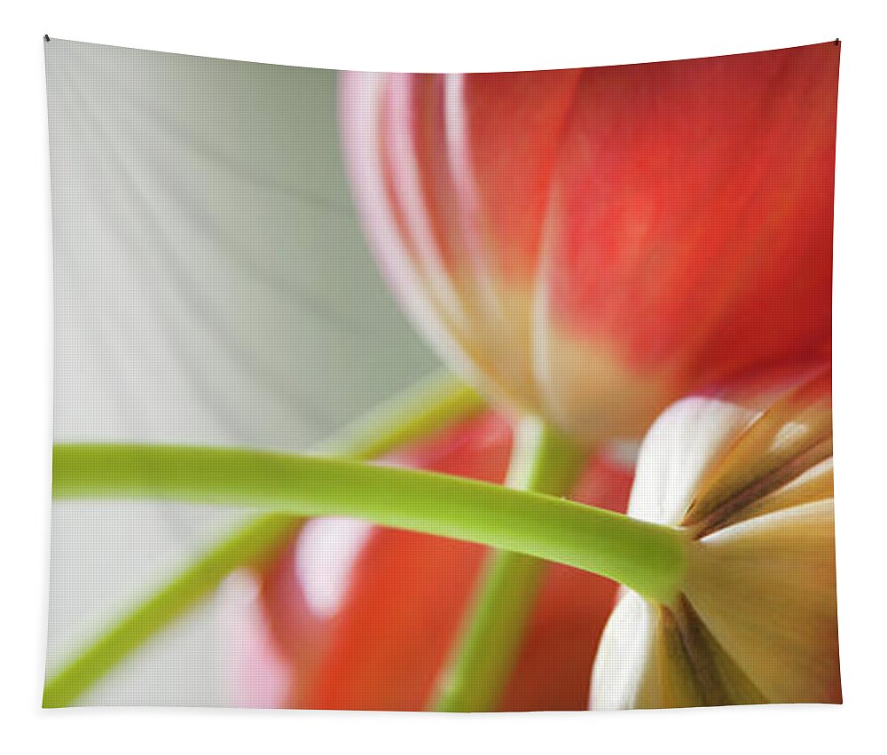 Floral Tapestry featuring the photograph Tulips In The Morning by Theresa Tahara