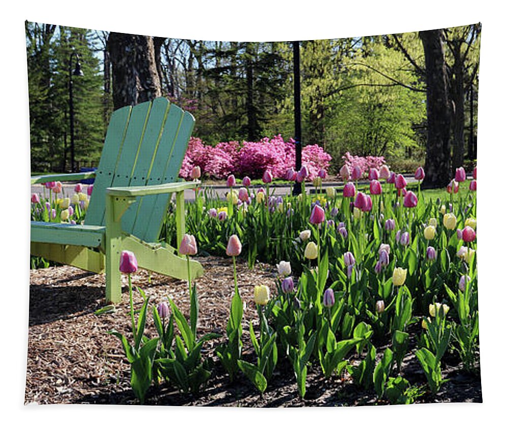Toledo Botanical Gardens Tapestry featuring the photograph Tulips Toledo Botanical Gardens 0573 by Jack Schultz