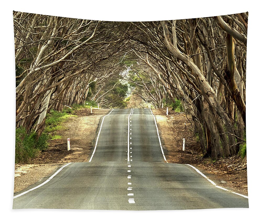 Road Tapestry featuring the photograph Tunnel of Trees by Catherine Reading