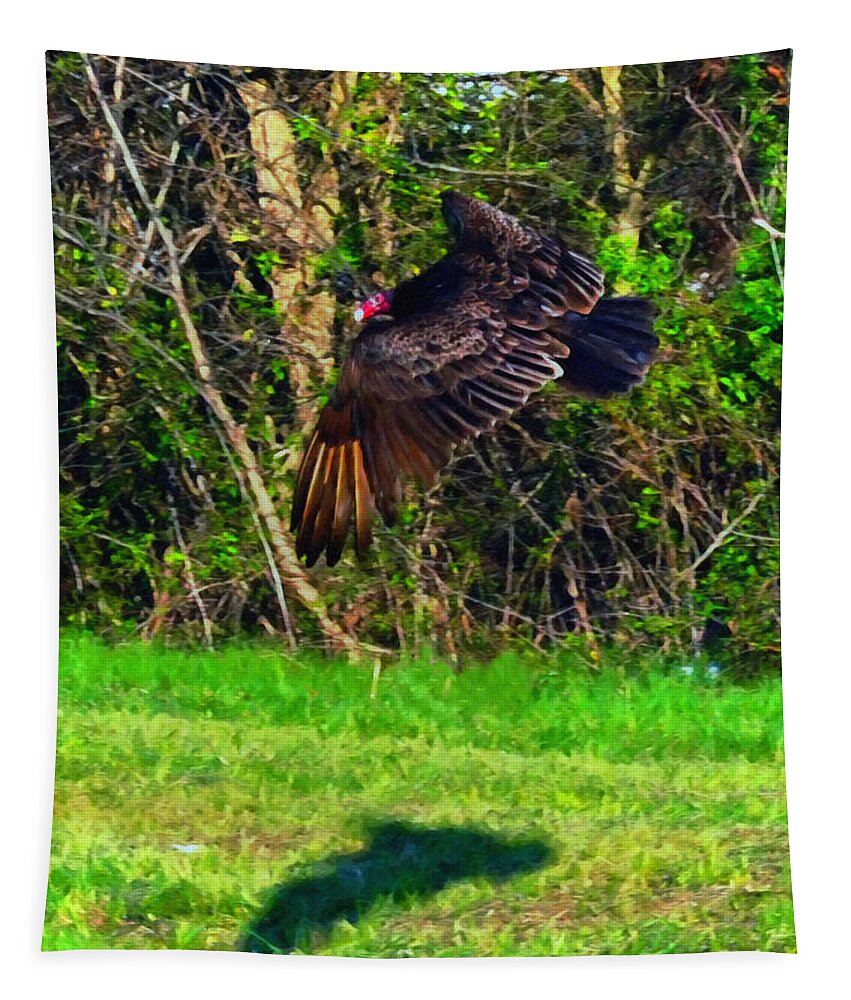 Cathartes Aura Tapestry featuring the digital art Turkey Vulture in Flight by Flees Photos