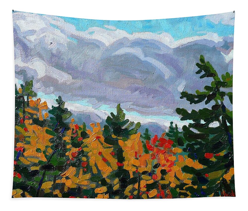 Stratocumulus Tapestry featuring the painting Turn Coat by Phil Chadwick