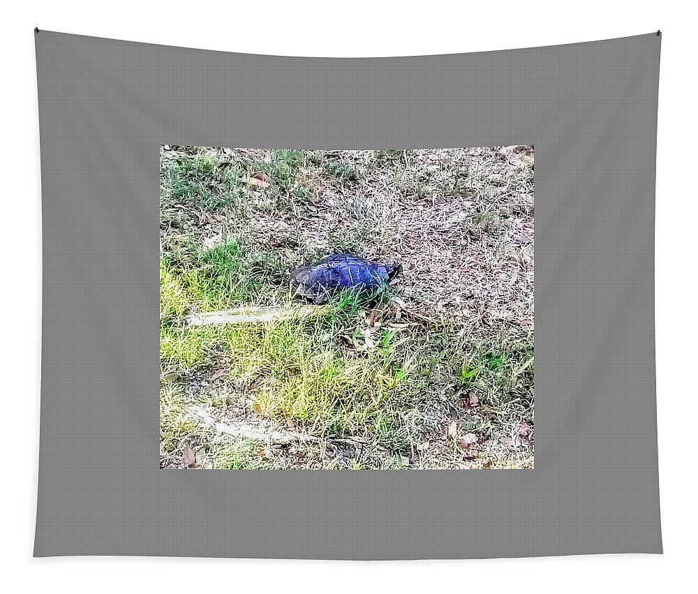 Turtle Tapestry featuring the photograph Turtle Crossing by Suzanne Berthier