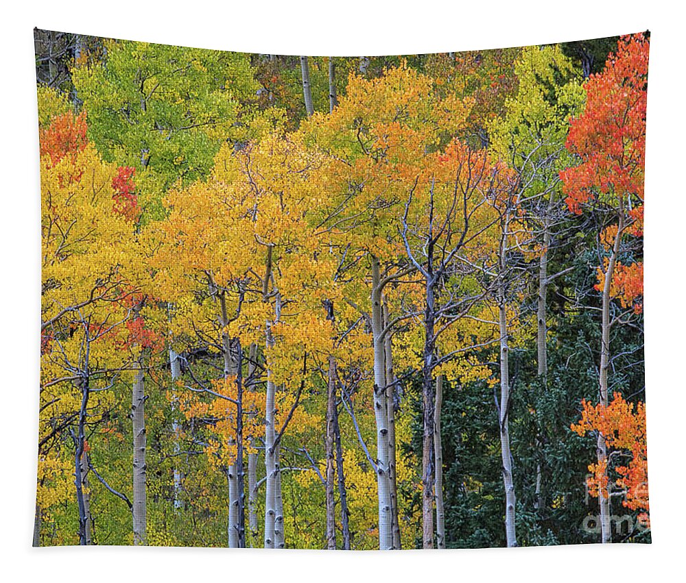 Aspen Landscape Tapestry featuring the photograph Twilight Time by Jim Garrison