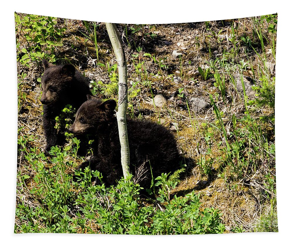 Twins Tapestry featuring the photograph Twin Power by Louise Magno