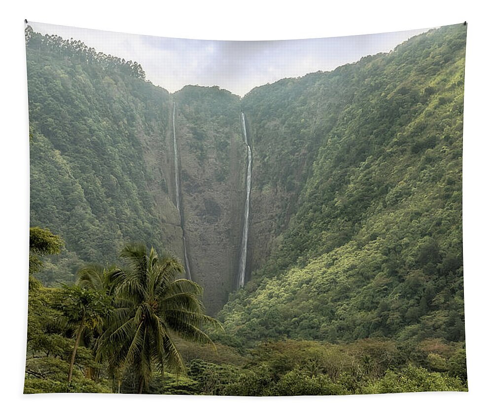 Waterfalls Tapestry featuring the photograph Twin Waterfalls by Susan Rissi Tregoning