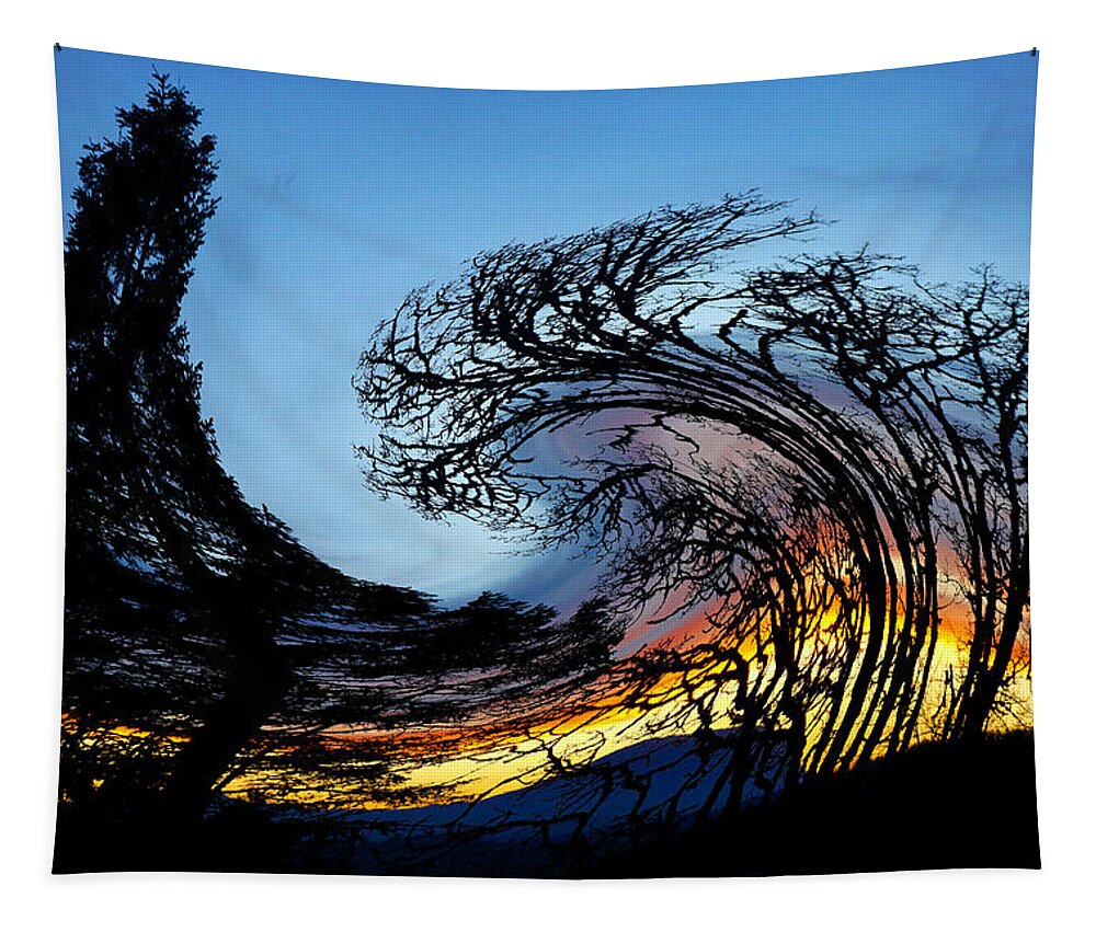 Art Tapestry featuring the photograph Twisted Sunset by Ben Upham III