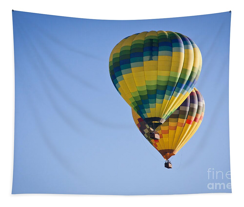Hot Air Balloon Tapestry featuring the photograph Two Balloons by Ana V Ramirez