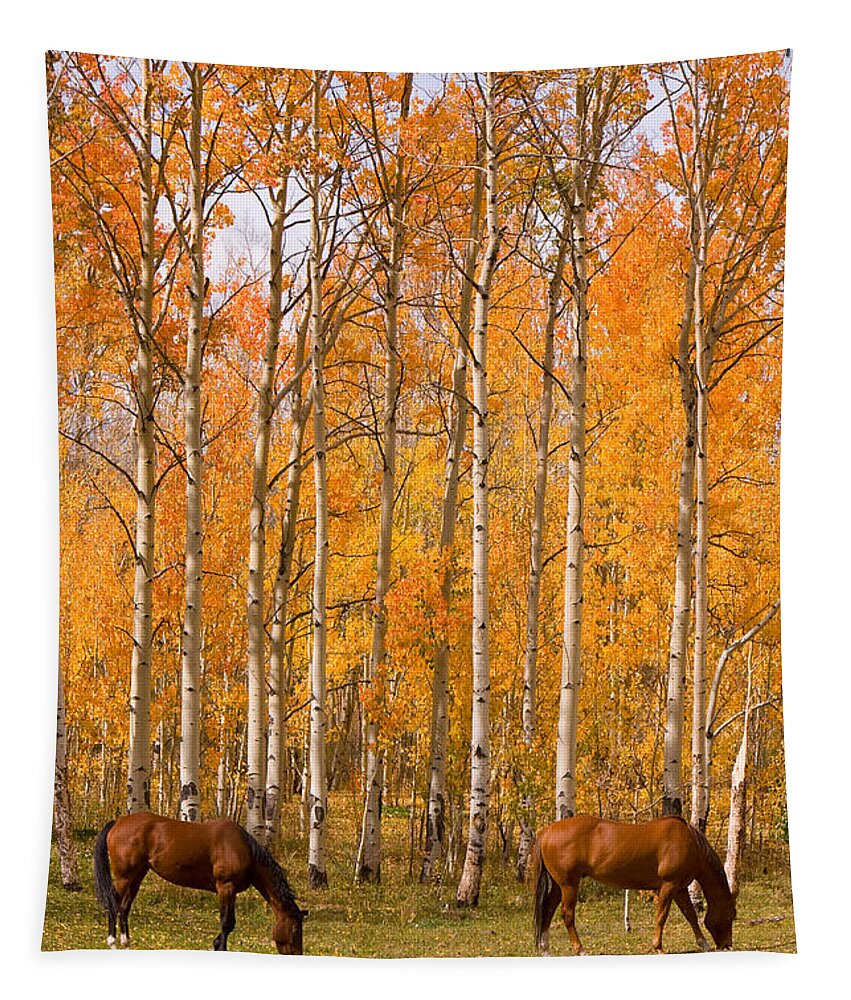 Horse Tapestry featuring the photograph Two Colorado High Country Autumn Horses by James BO Insogna