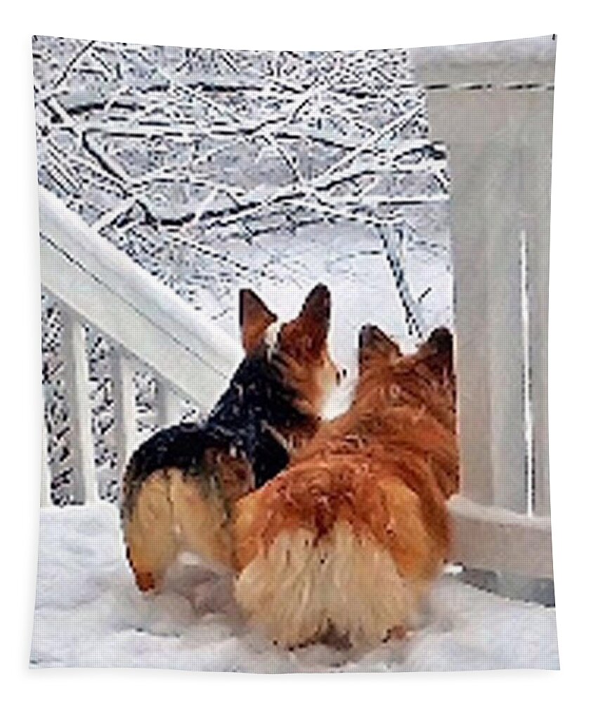 Christmas Greeting Card Tapestry featuring the digital art Two Corgis in the Snow by Kathy Kelly