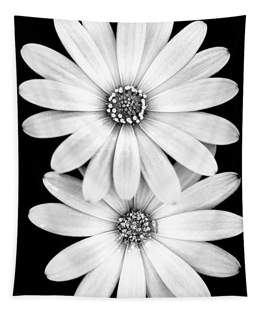 Black And White Spring Flowers Tapestry featuring the photograph Two Flowers by Az Jackson