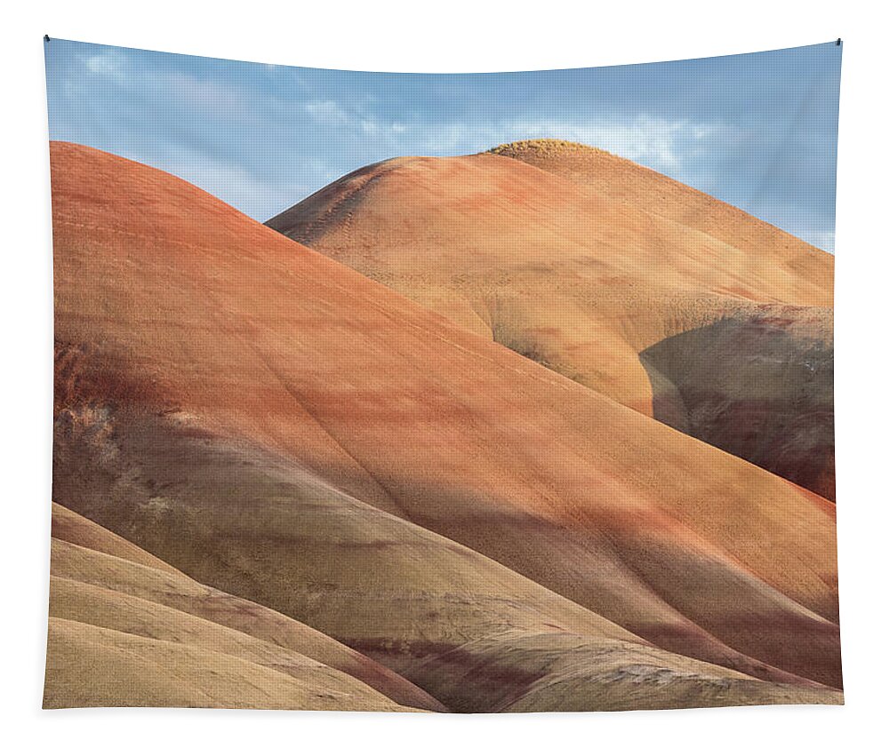 Painted Hills Tapestry featuring the photograph Two Painted Hills by Greg Nyquist