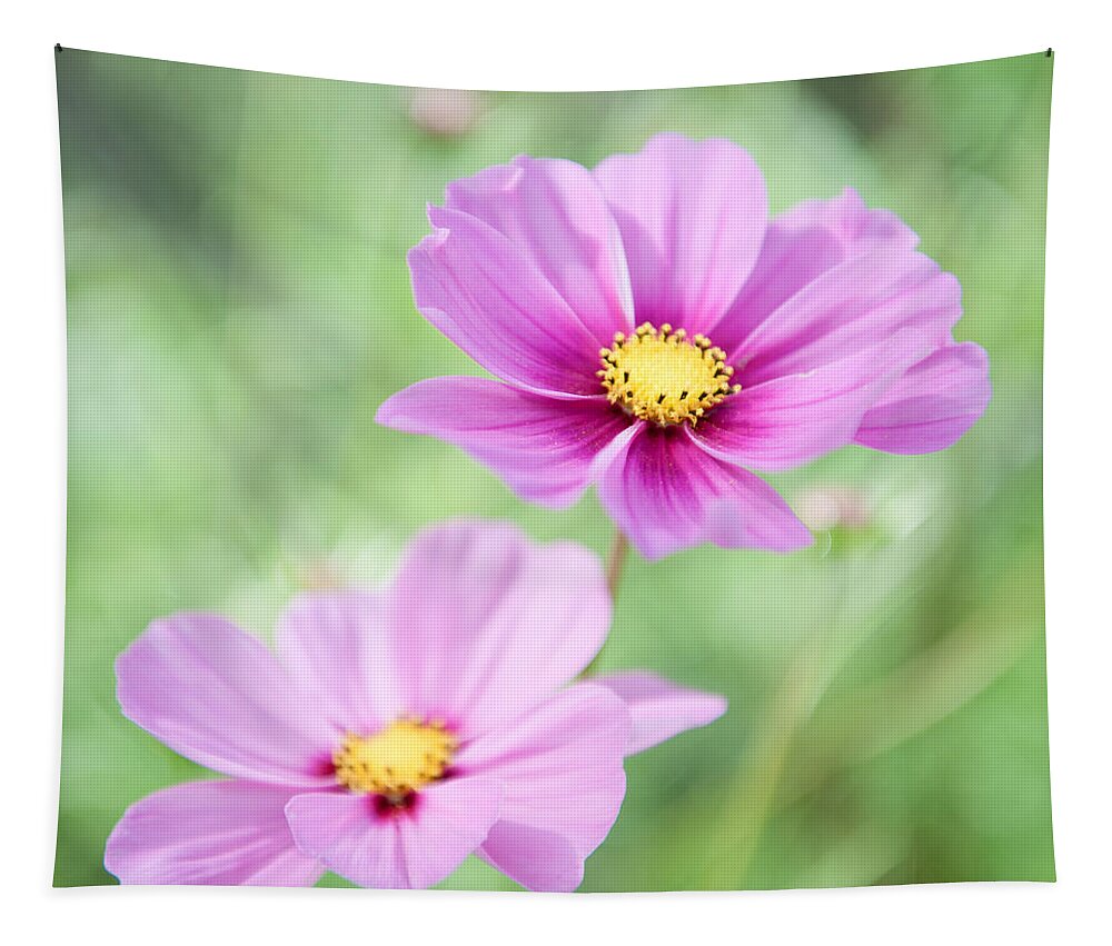 Two Tapestry featuring the photograph Two Purple Cosmos Flowers by Helen Jackson