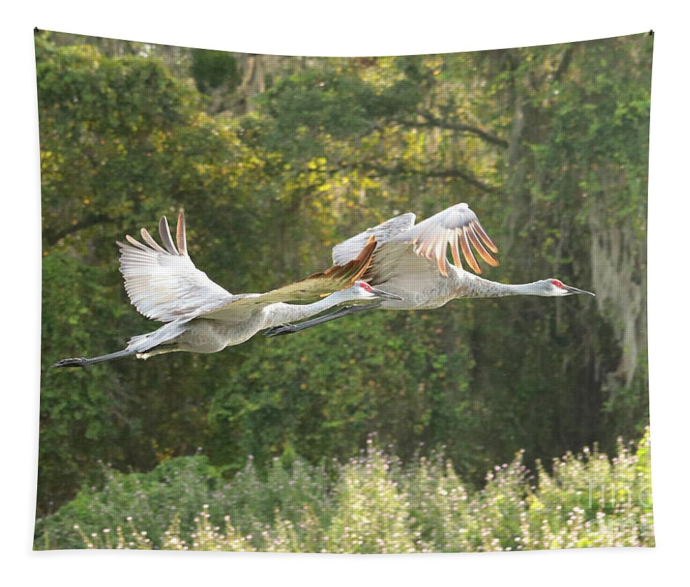 Sandhill Crane Tapestry featuring the photograph Two Soaring Sandhill Cranes by Carol Groenen