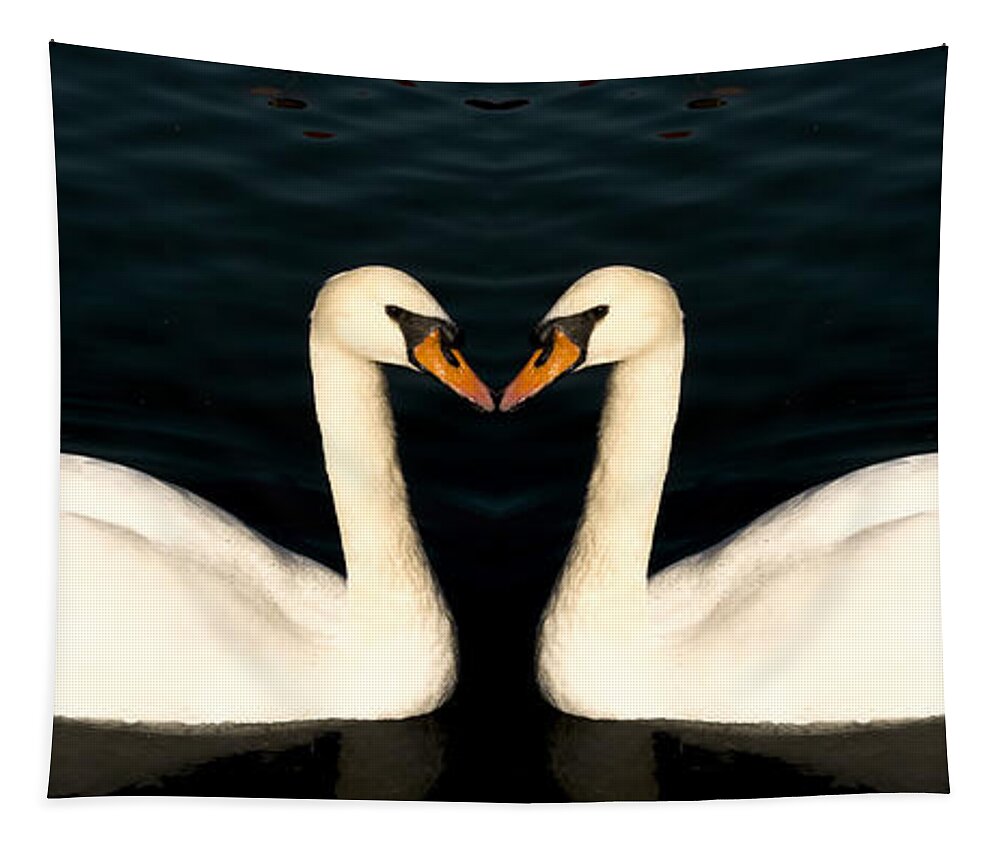 Two White Swans Tapestry featuring the photograph Two Symmetrical White Love Swans by John Williams