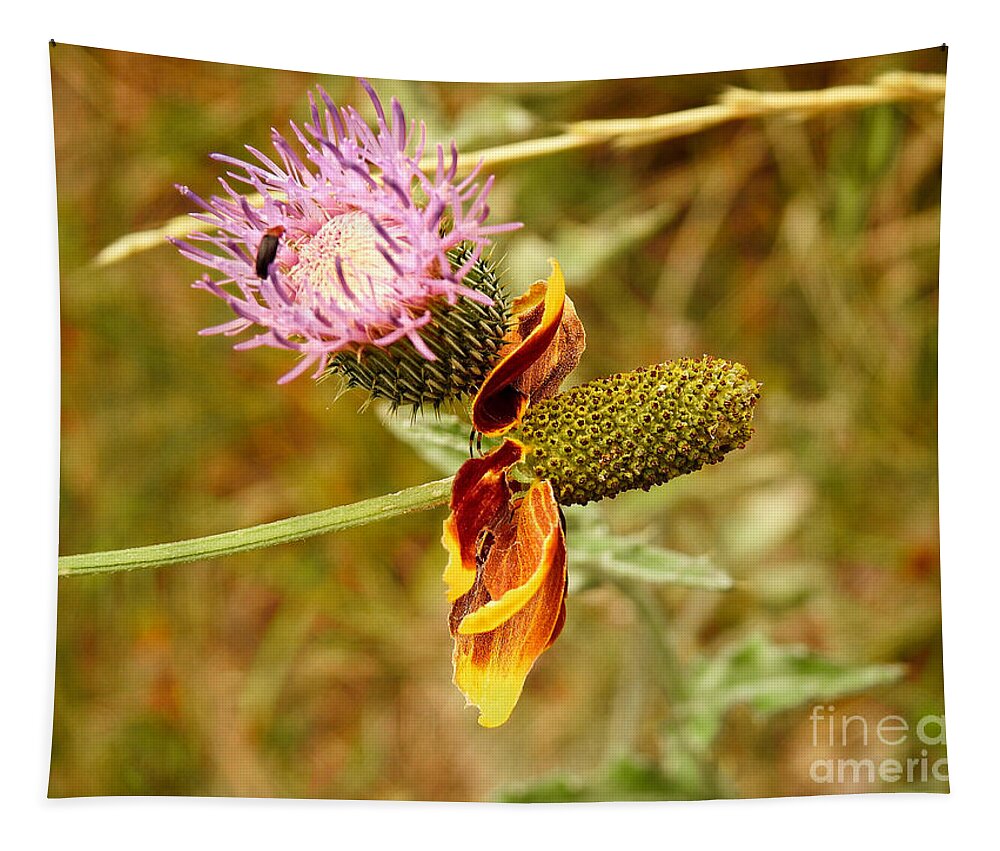 Wildflowers Tapestry featuring the photograph Two Wild Wallflowers by Ella Kaye Dickey
