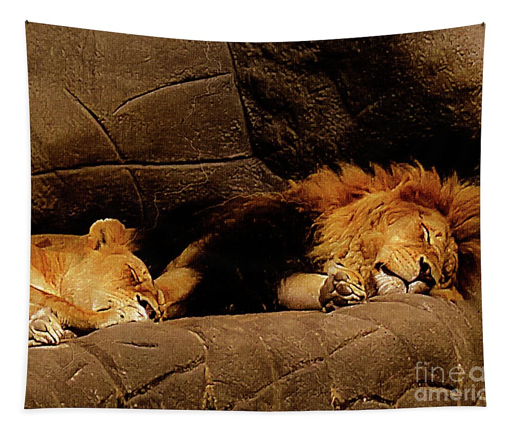 Mona Stut Tapestry featuring the photograph Twosome Relaxing by Mona Stut