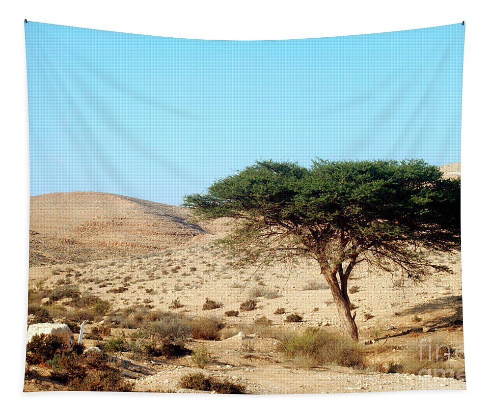Idr Tapestry featuring the photograph Umbrella Thorn Acacia Acacia tortilis, Negev Israel by Ilan Rosen