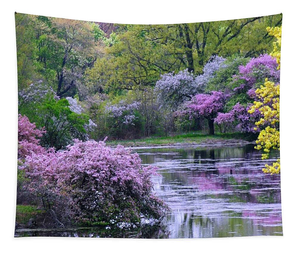 Spring Tapestry featuring the photograph Under Spring's Spell by Living Color Photography Lorraine Lynch